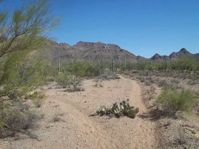 100_2958